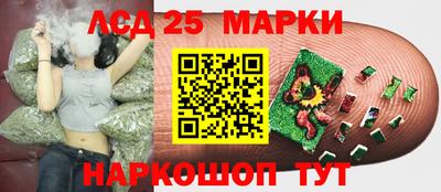 Альфа ПВП Кимры