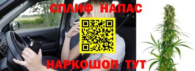 ECSTASY Кингисепп