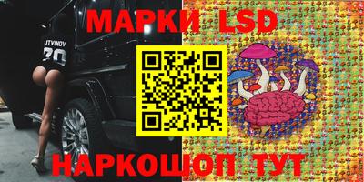 ECSTASY Кингисепп
