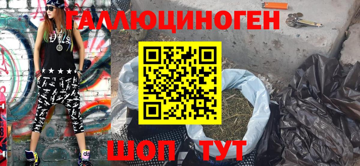 закладки  Галлюциногенные грибы Psilocybine cubensis  Вход с VPN  Лабинск 